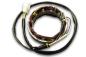 Preview: Stator S19