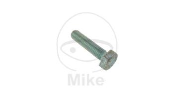 Bremsscheibenschraube, (OEM-Teil), M6X25