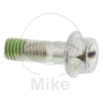 Bremsscheibenschraube, (OEM-Teil), M8X25
