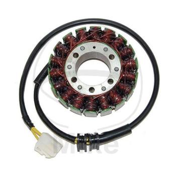 Lichtmaschine/Stator
