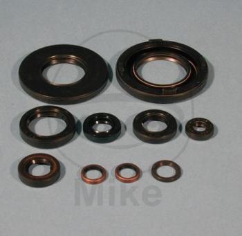 Wellendichtring-Satz für Motor, Tourmax