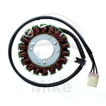 Lichtmaschine/Stator