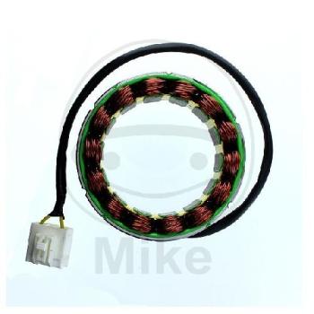 Lichtmaschine/Stator