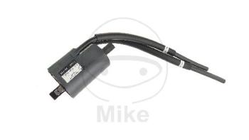 Preview: Zündspulenkerzenstecker, (Einzelzündspule), (OEM-Teil)