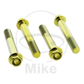 Bremssattelschrauben-Satz, Pro Bolt, Titan, gold