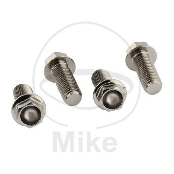 Bremssattelschrauben-Satz, Pro Bolt, Titan