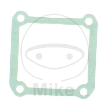 Ansaug-/Einlassstutzendichtung, in