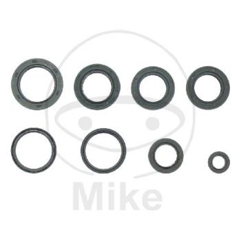 Wellendichtring-Satz für Motor