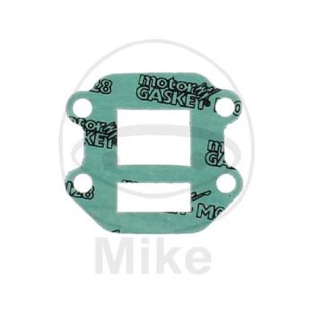 Ansaug-/Einlassstutzendichtung