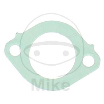 Ansaug-/Einlassstutzendichtung