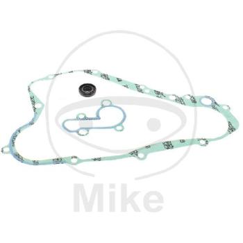 Wasserpumpen-Rep.-Satz