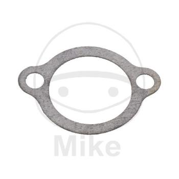 Steuerkettenspannerdichtung, (OEM-Teil)