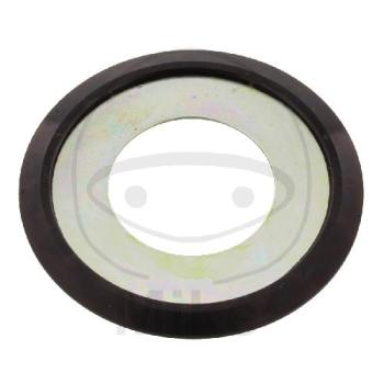 Steuerkettenspannerdichtung, (OEM-Teil)