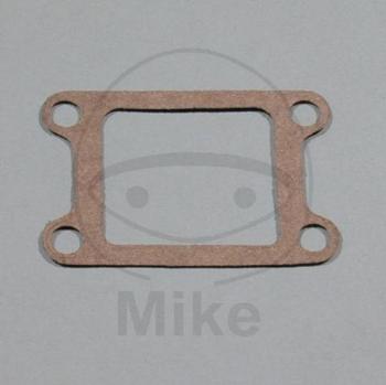 Ansaug-/Einlassstutzendichtung