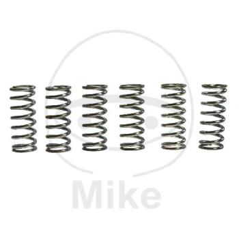 Kupplungsfedern, verstärkt, Inhalt 6 Stk., TRW