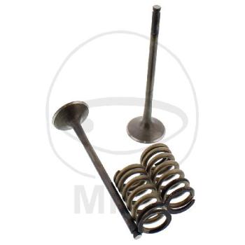 Auslassventil mit Federn-Satz