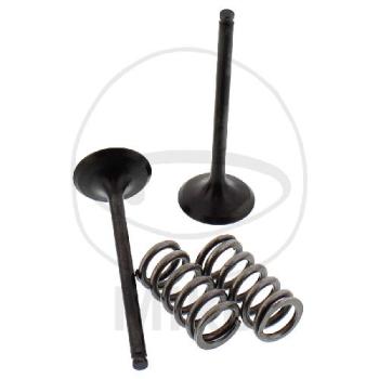 Auslassventil mit Federn-Satz