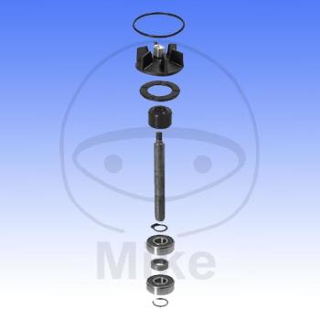 Wasserpumpen-Rep.-Satz