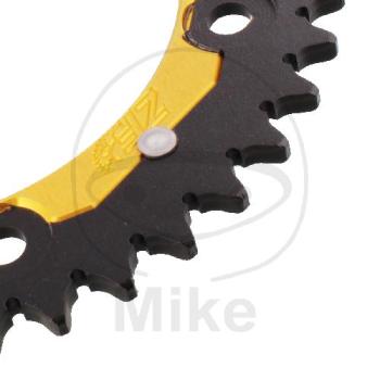 Preview: Kettenrad, ZF-Dual, 41Z, Teil.: 520 gold, ZF, Innen Ø : 134, Lochkr.: 160