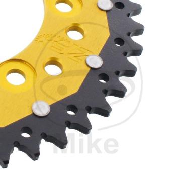 Preview: Kettenrad, ZF-Dual, 42Z, Teil.: 520 gold, ZF, Innen Ø : 100, Lochkr.: 124