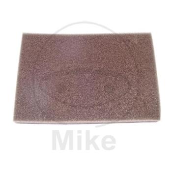 Luftfilter, Foam, Athena