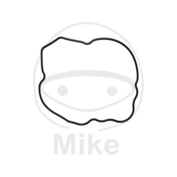 Lichtmaschinendeckeldichtung