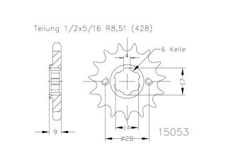 Kettenritzel, 13 Zähne