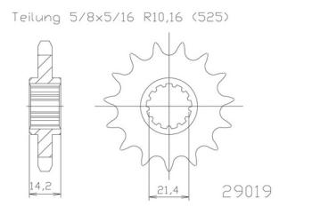 Preview: Kettenritzel, 15 Zähne
