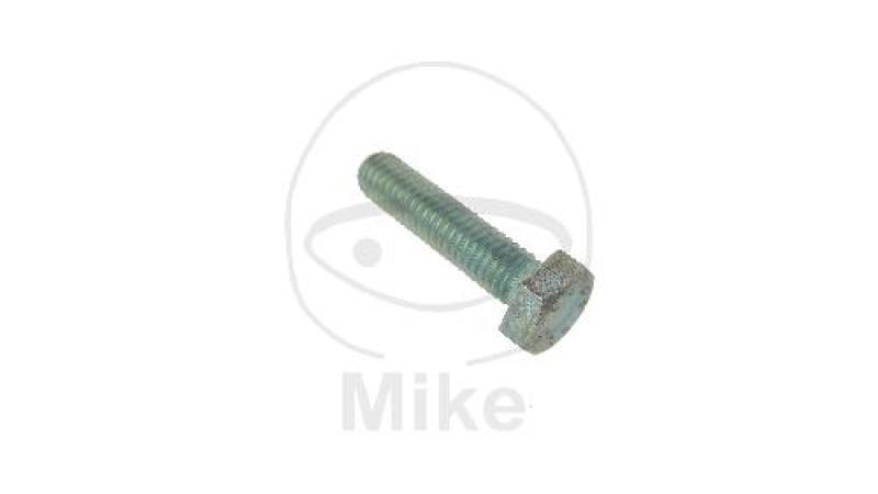 Bremsscheibenschraube, (OEM-Teil), M6X25