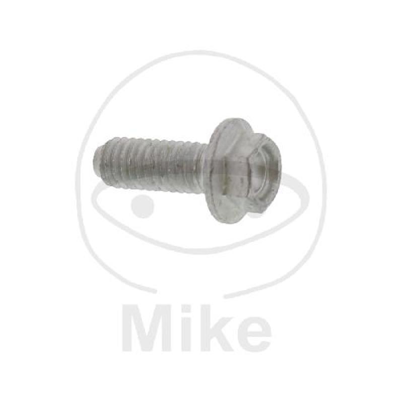 Bremsscheibenschraube, (OEM-Teil), M6X16