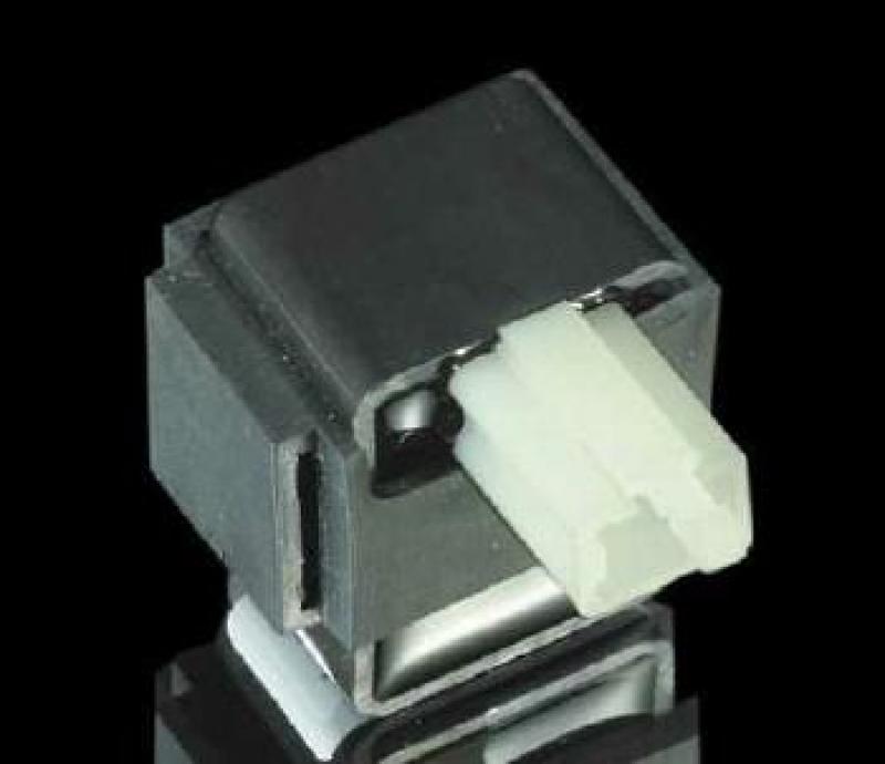 Flasher Relay small connector with 2 pins