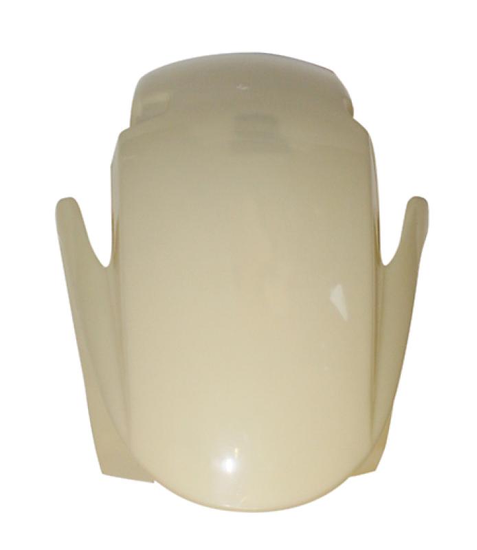 Fender for Honda CBR 600 RR
