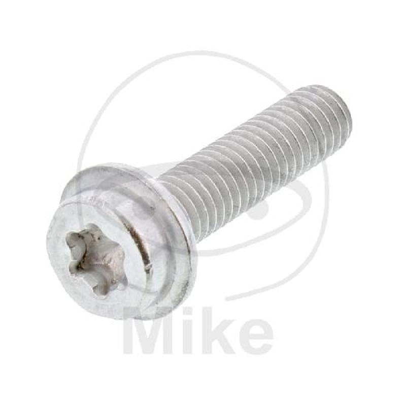 Schraube, M6X25