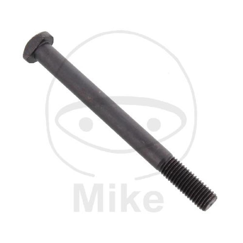 Schraubbolzenm M7X75, (OEM-Teil)