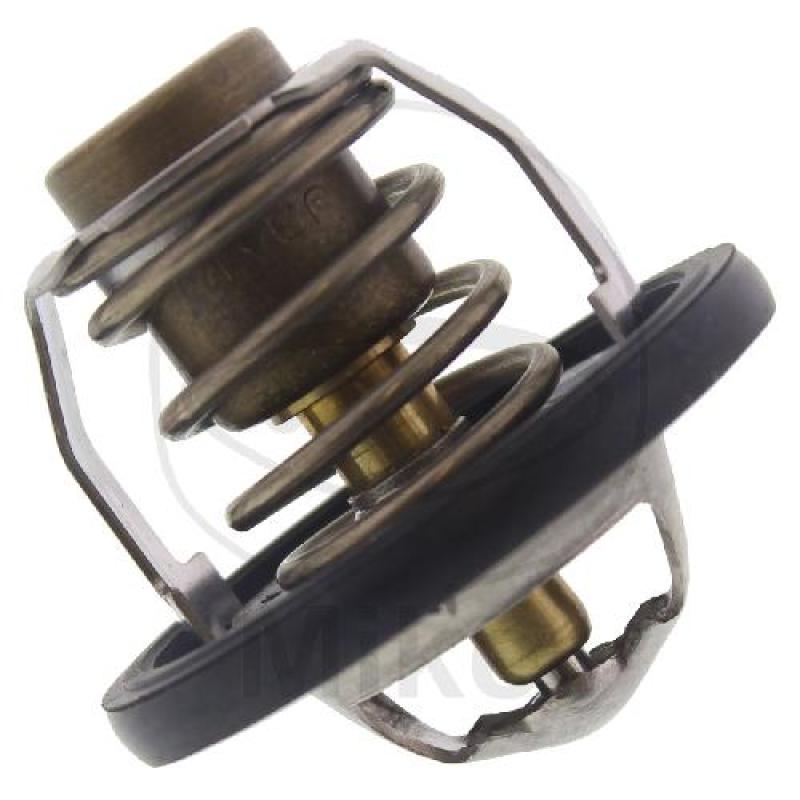 Thermostat, Tourmax