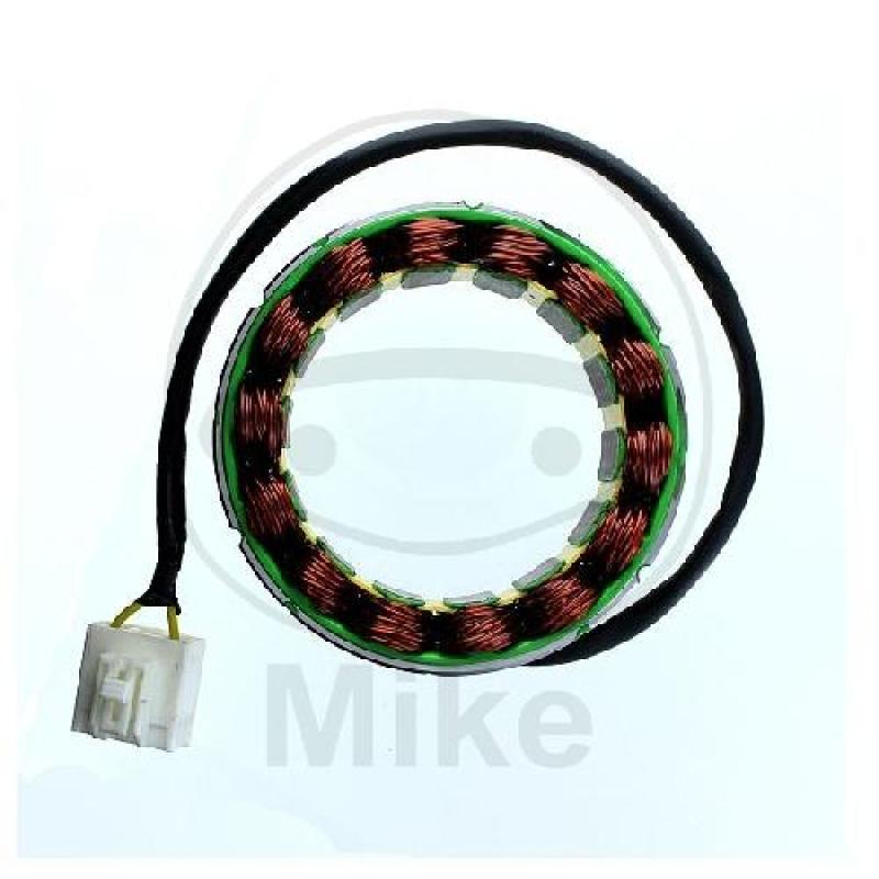 Lichtmaschine/Stator