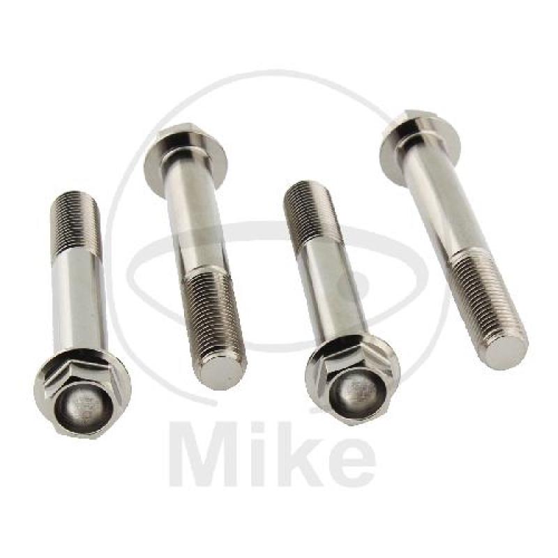 Bremssattelschrauben-Satz, Pro Bolt, Titan
