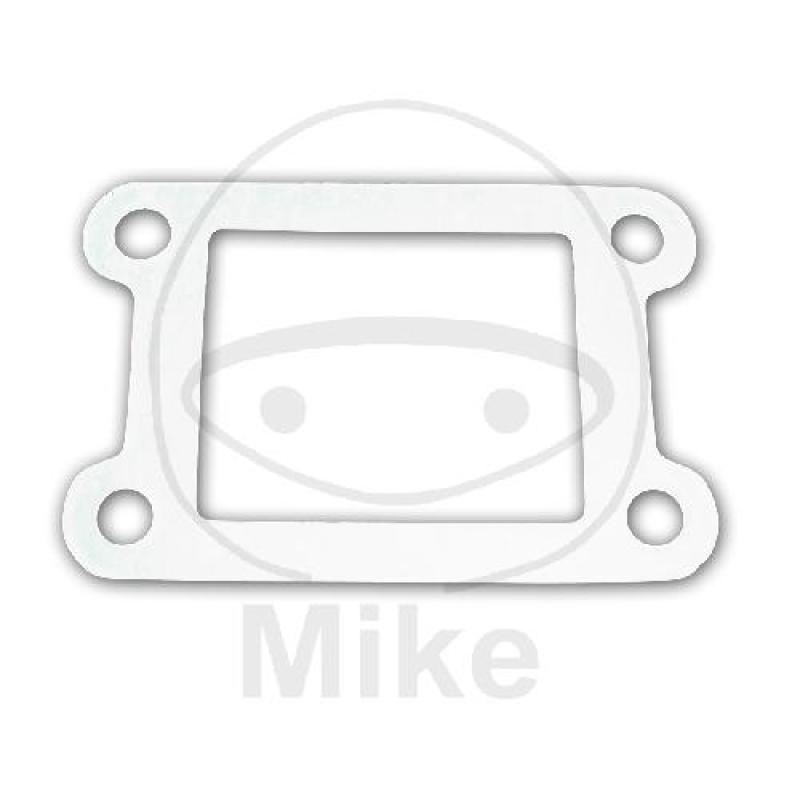 Ansaug-/Einlassstutzendichtung