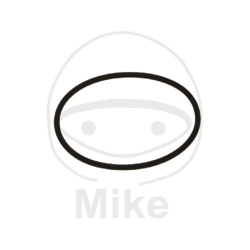 Ölfilterdeckeldichtung, O-Ring, 2,5X54 mm