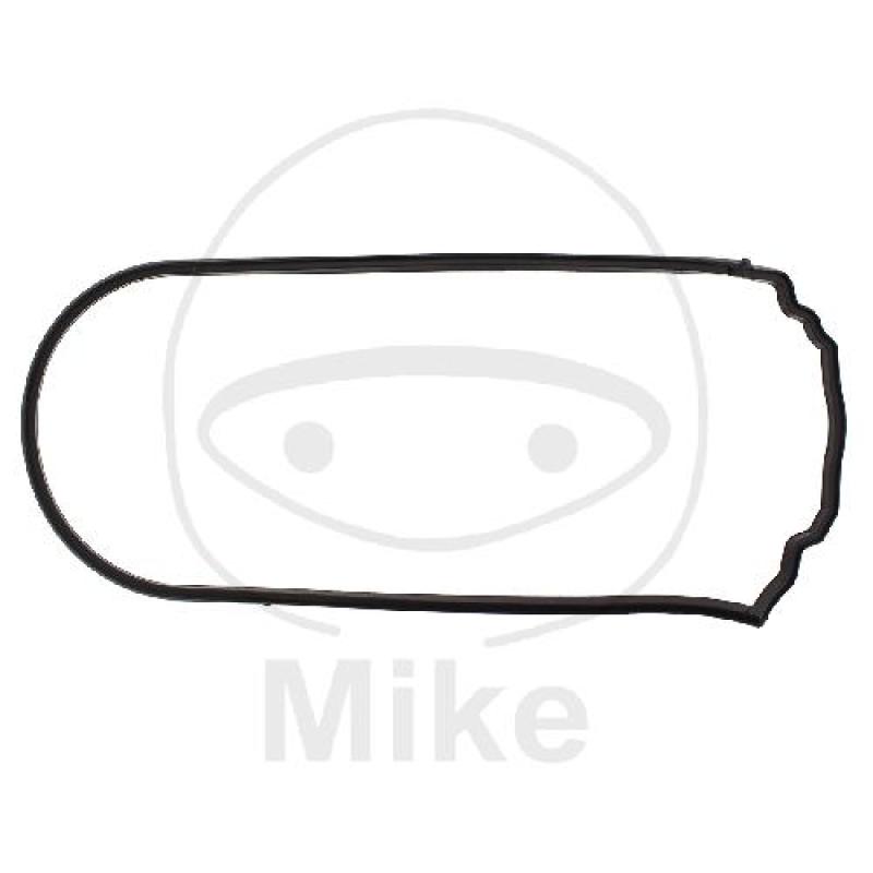 Lichtmaschinendeckeldichtung