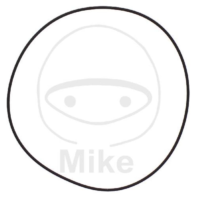Zylinderkopfdichtung, O-Ring, 1,78X101,34 mm