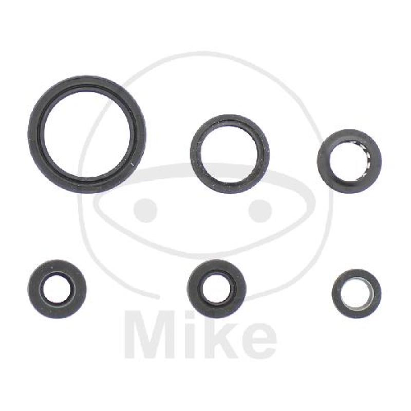 Wellendichtring-Satz für Motor