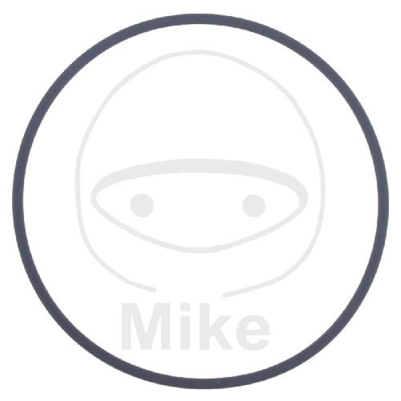 Wasserpumpendeckeldichtung, 2X60 mm