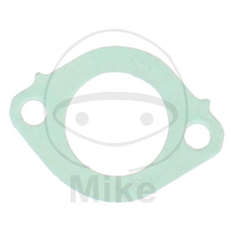 Ansaug-/Einlassstutzendichtung