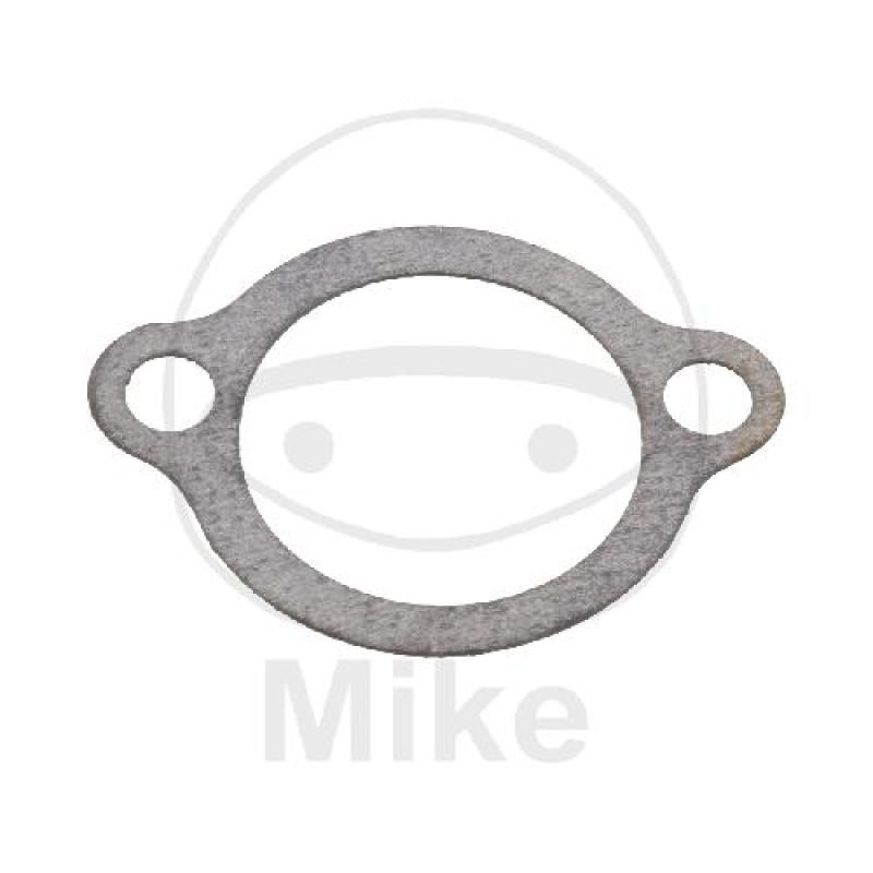 Steuerkettenspannerdichtung, (OEM-Teil)