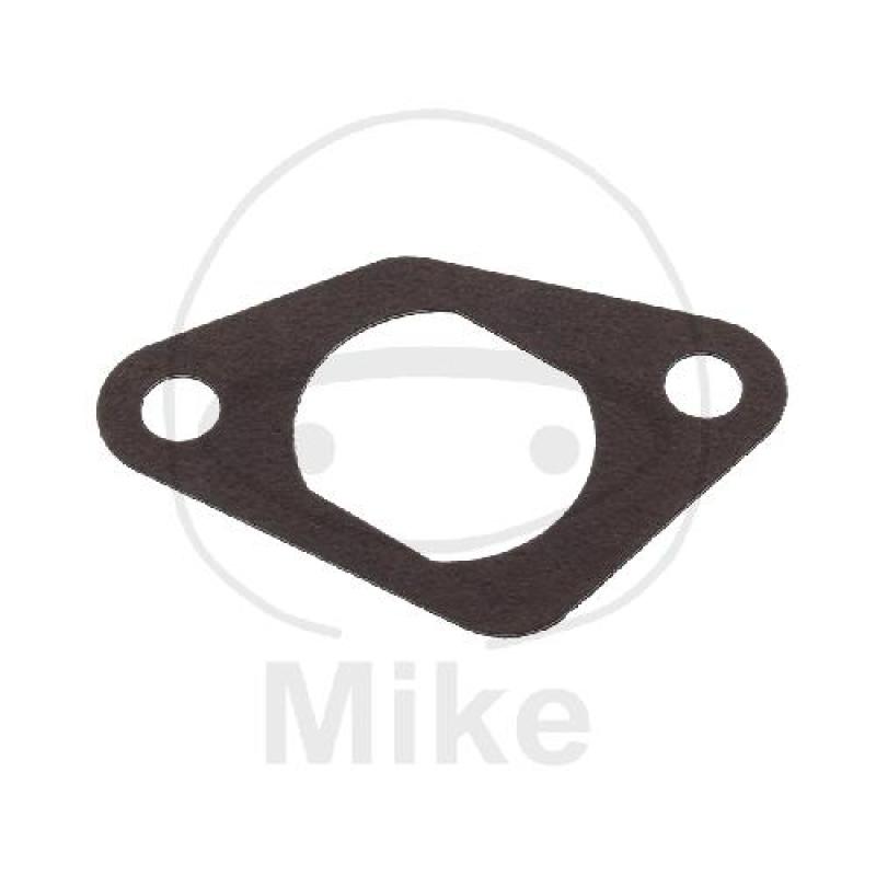 Steuerkettenspannerdichtung, (OEM-Teil)