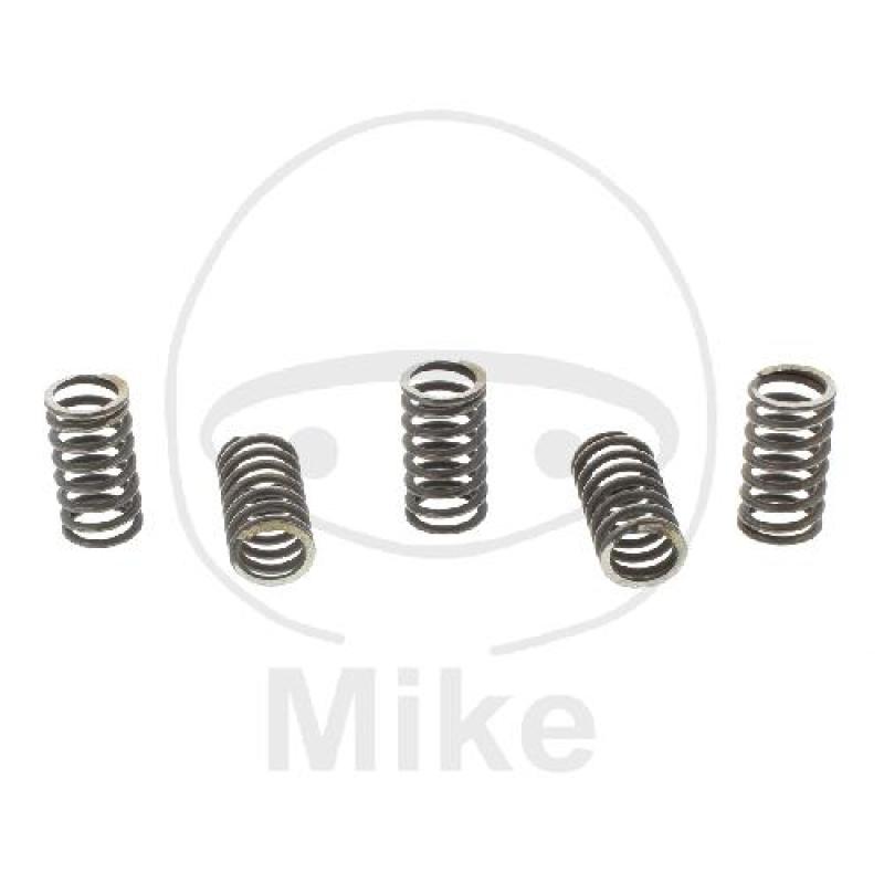 Kupplungsfedern, verstärkt, Inhalt 5 Stk., TRW