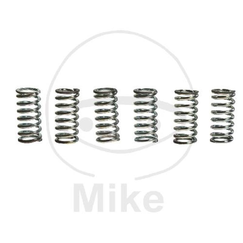 Kupplungsfedern, verstärkt, Inhalt 6 Stk., TRW