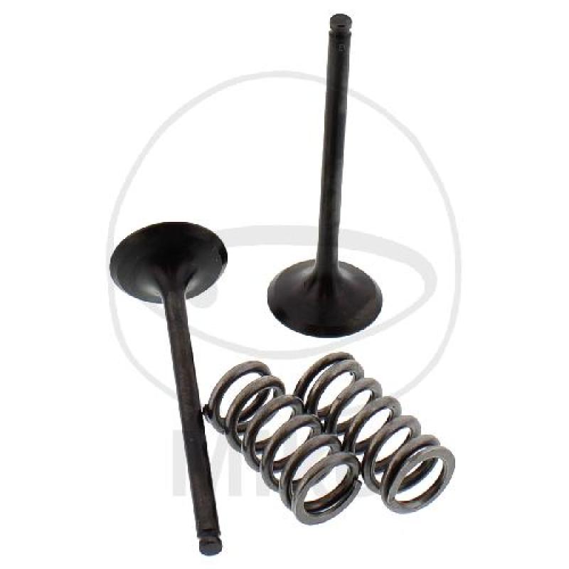 Auslassventil mit Federn-Satz