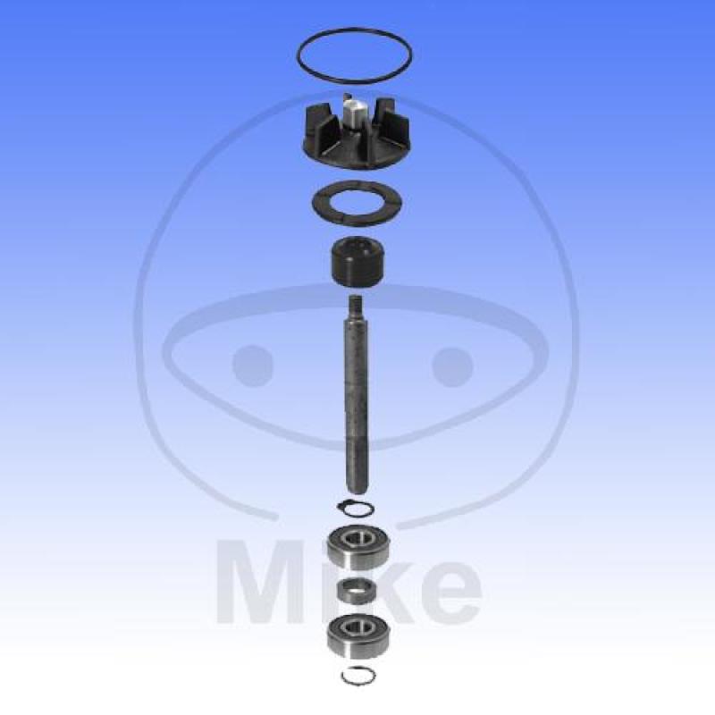 Wasserpumpen-Rep.-Satz